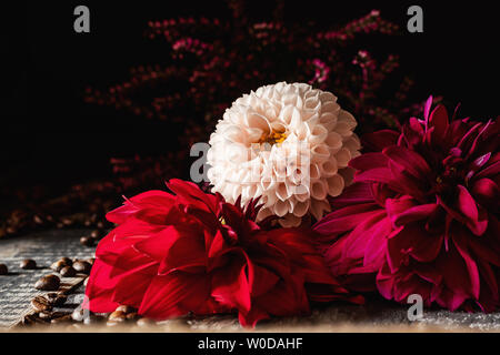 Rot, Rosa und weissen Blüten auf alten Dielen mit Heidekraut auf einem dunklen Hintergrund. Close Up. Stockfoto