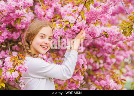 Hell und lebendig. Rosa ist mein Favorit. Kleines Mädchen genießen Sie Frühling. Zicklein auf rosa Blüten von Kirschbaum Hintergrund. Kid genießen Pink Cherry Blossom. Zarte Blüte. Pink ist die mädchenhafte Farbe. Stockfoto