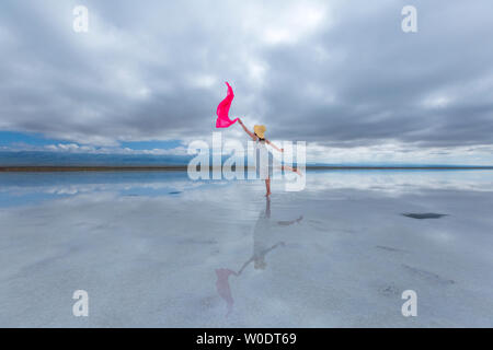 Tee qinghai See Stockfoto