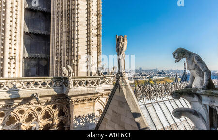 Frankreich, Paris, 4. Arrondissement, Ile de la Cité, Kathedrale Notre-Dame de Paris, architektonischen Details von den Türmen gesehen Stockfoto