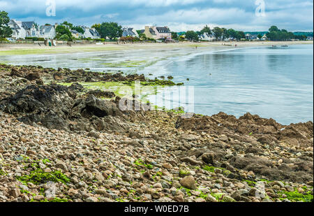 Frankreich, Bretagne, Concarneau, Küstenweg (Grande Randonnée 34, Nummer 34, die in einem Netzwerk von langen Fußwege in Europa), Cap Coz Strand Stockfoto