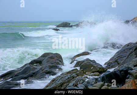 Eine Gruppe von Bildern der Seele auf das Meer Stockfoto