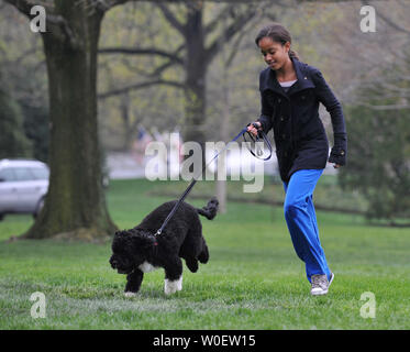Präsident Barack Obama's Tochter Malia spielt mit ihrem neuen Hund, Bo, auf der Rasenfläche des Weißen Hauses in Washington am 14. April 2009. Bo, ein Portugiesischer Wasserhund, war ein Geschenk an die Obamas von Senator Edward Kennedy (D-MA). (UPI Foto/Kevin Dietsch) Stockfoto