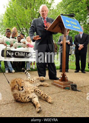 Sen. Benjamin Cardin, D-MD, spricht während einer Pressekonferenz zur Einführung der "Kein Kind im Inneren überlassen", auf dem Capitol Hill in Washington am 14. Mai 2009. Auf der Suche nach Ro, ein sechs Monate alter cheetah, und Studenten aus der Grünen Schule in Baltimore. (UPI Foto/Roger L. Wollenberg) Stockfoto