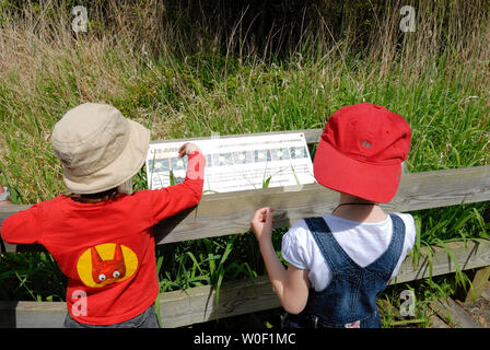 3-jähriges Mädchen und fünf Jahre alten Jungen lesen eine Infotafel in einem natürlichen Park Stockfoto