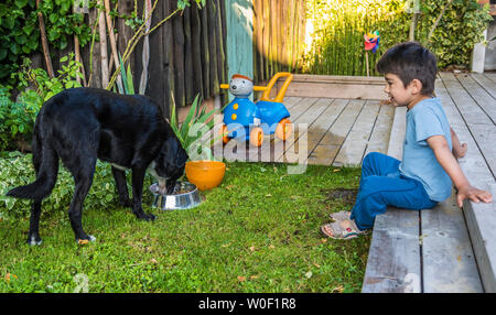 Fünf Jahre alten Jungen, einen Hund, der das Essen Stockfoto