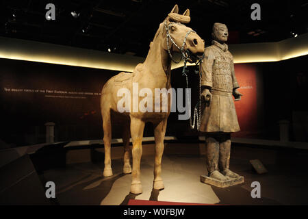 Ein Terracotta Krieger und Pferd wird während eines Media Vorschau für die Ausstellung "Terra Cotta Warriors gesehen: Wächter von Chinas erstem Kaiser" im National Geographic in Washington am 17. November 2009. Die Ausstellung, die vom 19. November geöffnet, verfügt über 15 terra cotta Figuren. UPI/Kevin Dietsch Stockfoto