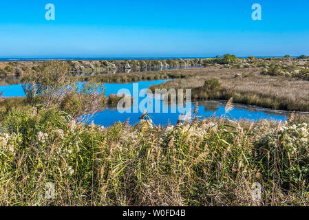 Frankreich, Aquitaine, Arcachon Bucht, La Teste de Buch, Bordes Salt Marsh Stockfoto