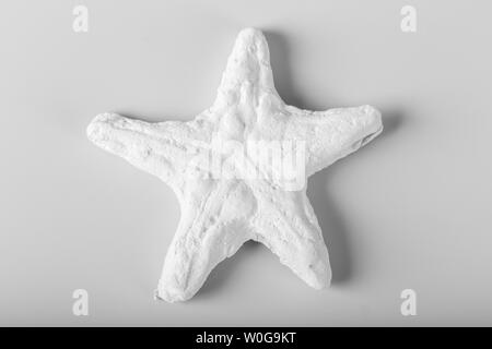 Decorational Muscheln auf weißem Hintergrund Stockfoto