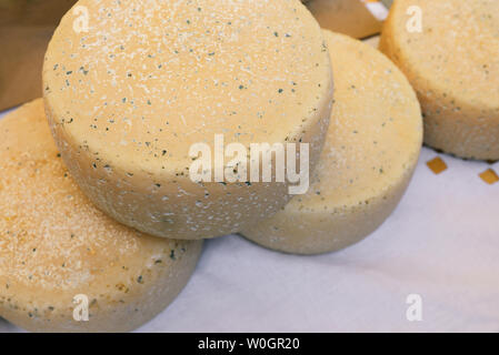 Vier große Köpfe von Käse liegen auf einem weißen Leinen Tischdecke. Verschiedene Arten von Käse. Nützlich für Molkereiprodukte. Stockfoto