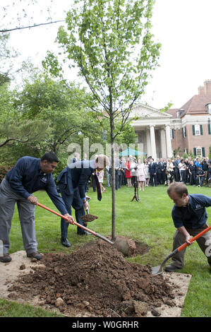 Prinz Harry hilft einen Baum in der britischen Botschafter Residence Garden in Anerkennung der amerikanischen und britischen verwundeten Krieger zu Pflanzen, in Washington, D.C. am 7. Mai 2012. UPI/Kevin Dietsch Stockfoto