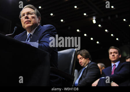 Wayne LaPierre, Executive Vice President und CEO der National Rifle Association, bezeugt vor einem Senat-rechtsausschusse Hörfähigkeit auf Waffengewalt auf dem Capitol Hill in Washington, DC am 30. Januar 2013. UPI/Pete Marovich Stockfoto