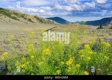 South Okanagan Grasland, British Columbia, Kanada Stockfoto