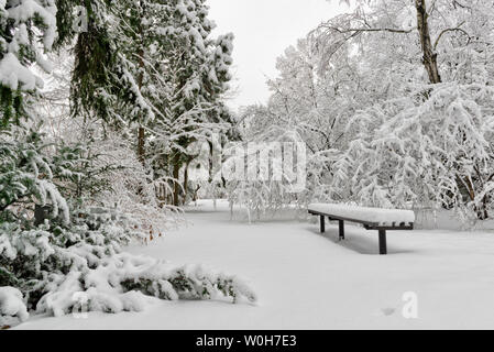 Eine einsame Bank von Schnee im Winter Park abgedeckt Stockfoto