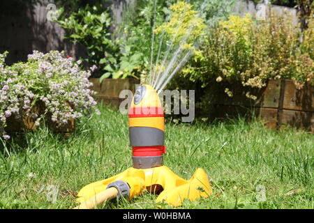 Hozelock-Sprinkler, der an einem Schlauch befestigt ist und an einem Sommertag in einem britischen Garten mit Pflanzen im Hintergrund Wasser auf Kräuter und Rasen spritzt Stockfoto