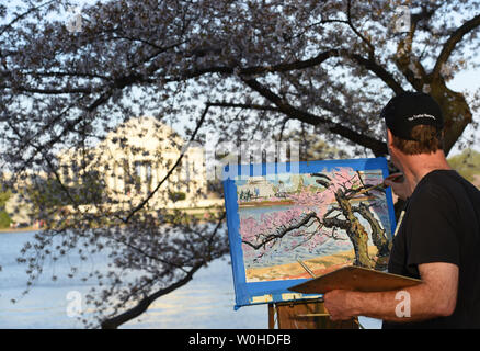 Professionelle Maler Charles Cushing, Philadelphia, Pa., Farben Cherry Blossom Bäume in der Nähe des Jefferson Memorial am Tidal Basin in Washington D.C. am 13. April 2014. UPI/Molly Riley Stockfoto