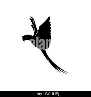 Papagei Vogel Silhouette isoliert auf weißem Hintergrund Stock Vektor