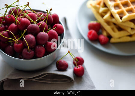 Selektiver Fokus auf Cherry Bowl. Hausgemachten belgischen Waffeln mit Beeren auf grau Tabelle. Gesundes Frühstück Konzept. Stockfoto