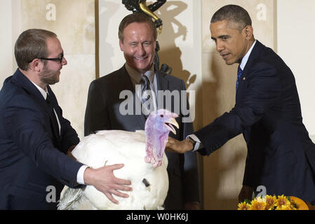 Präsident Barack Obama begnadigt Käse, 2014 die nationalen Thanksgiving Truthahn, als Nationale Türkei Vereinigung Vorsitzender Gary Cooper (Mitte) und seinem Sohn Cole es zurückzuhalten, während einer Zeremonie im Weißen Haus am 26. November 2014 in Washington, D.C., Käse und eine Türkei Alternative namens Mac, auf dem Display für Besucher an ihrem ständigen Wohnsitz an morven's Park" Türkei Hügel", die historische Türkei Bauernhof am Haus der ehemaligen Virginia Gouverneur Westmoreland Davis in Leesburg, Virginia gelegen. UPI/Kevin Dietsch Stockfoto