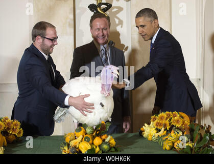 Präsident Barack Obama begnadigt Käse, 2014 die nationalen Thanksgiving Truthahn, als Nationale Türkei Vereinigung Vorsitzender Gary Cooper (Mitte) und seinem Sohn Cole es zurückzuhalten, während einer Zeremonie im Weißen Haus am 26. November 2014 in Washington, D.C., Käse und eine Türkei Alternative namens Mac, auf dem Display für Besucher an ihrem ständigen Wohnsitz an morven's Park" Türkei Hügel", die historische Türkei Bauernhof am Haus der ehemaligen Virginia Gouverneur Westmoreland Davis in Leesburg, Virginia gelegen. UPI/Kevin Dietsch Stockfoto