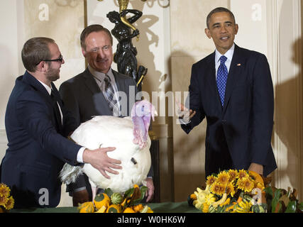 Präsident Barack Obama begnadigt Käse, 2014 die nationalen Thanksgiving Truthahn, als Nationale Türkei Vereinigung Vorsitzender Gary Cooper (Mitte) und seinem Sohn Cole es zurückzuhalten, während einer Zeremonie im Weißen Haus am 26. November 2014 in Washington, D.C., Käse und eine Türkei Alternative namens Mac, auf dem Display für Besucher an ihrem ständigen Wohnsitz an morven's Park" Türkei Hügel", die historische Türkei Bauernhof am Haus der ehemaligen Virginia Gouverneur Westmoreland Davis in Leesburg, Virginia gelegen. UPI/Kevin Dietsch Stockfoto