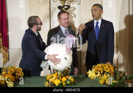 Präsident Barack Obama begnadigt Käse, 2014 die nationalen Thanksgiving Truthahn, als Nationale Türkei Vereinigung Vorsitzender Gary Cooper (Mitte) und seinem Sohn Cole es zurückzuhalten, während einer Zeremonie im Weißen Haus am 26. November 2014 in Washington, D.C., Käse und eine Türkei Alternative namens Mac, auf dem Display für Besucher an ihrem ständigen Wohnsitz an morven's Park" Türkei Hügel", die historische Türkei Bauernhof am Haus der ehemaligen Virginia Gouverneur Westmoreland Davis in Leesburg, Virginia gelegen. UPI/Kevin Dietsch Stockfoto