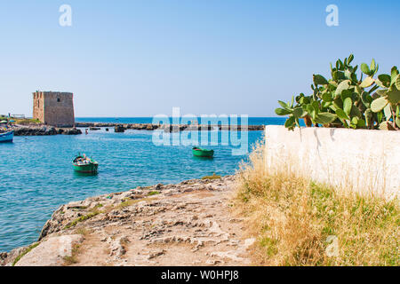 Barocke Wachtturm, schönen alten Turm in San Vito, Polignano a Mare, Bari, Apulien, Italien mit mit blauem Meer, Boote, Strand und Kaktus, Mediter Stockfoto