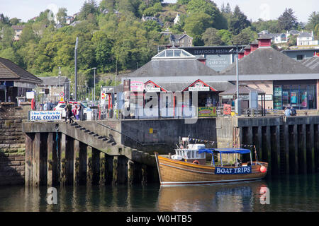 Blick auf den Hafen von Oban, Argyll und Bute, Schottland, den Hafen und das Terminal für die CalMac Autofähre über auf die Insel Mull Stockfoto