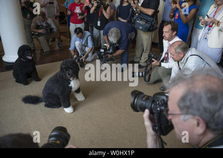 Vertreter der Medien und Touristen machen Fotos von Präsident Obamas Hunde sonnig und Bo im Weißen Haus in Washington, D.C. am 1. Juli 2015. Heute ist das Weiße Haus hob ein 40-Band auf touristische Bilder aufnehmen im Weißen Haus. Foto von Kevin Dietsch/UPI Stockfoto