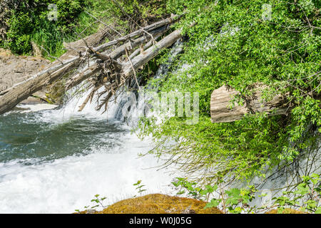 Wildwasser bricht am Tumwater in Tumwater, Washington fällt. Stockfoto