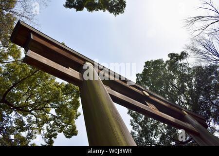 Tor zur Meiji-jingu - die größten und bekanntesten Shintō-Schrein, Tokio, Japan Stockfoto