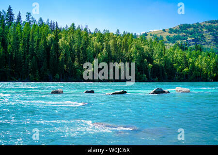 Kanas See, Xinjiang am See Wald Stockfoto