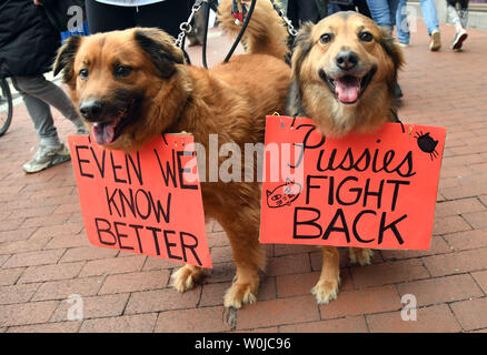 Zwei Hunde mit Zeichen nehmen Teil im März der Frauen auf Washington gegen Präsident Donald Trump am 21. Januar 2017. Menge geschätzt, in den Hunderten von Tausenden in Washington, D.C. Rallye als Teil einer globalen Protest gegen Trumpf. Foto von Kevin Dietsch/UPI Stockfoto