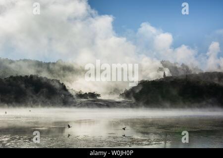 Nebel und Dampf aus heißen Quellen am Lake Ohakuri, Orakei Korako geothermischen Park, Geothermie, Hidden Valley, Taupo Volcanic Zone, North Island, New Stockfoto