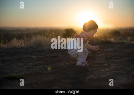 Sonniger Abend und die ersten selbständigen Schritte. Babys erste Schritte in der Natur Stockfoto