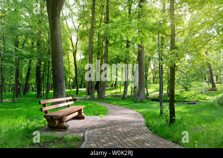 Holzbank in einer schönen, sonnigen Park Stockfoto