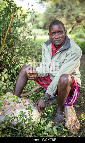 Gleichen, Tansania, 5. Juni 2019: Junge Masai Mann sitzt mit seinem Bein in eine Kuh Magen eine releaf für seinen verdrehten Knöchel zu erhalten Stockfoto