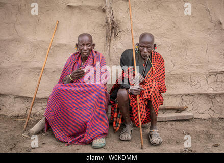 Gleichen, Tansania, 4. Juni, 2019: Alte masai Mann ruht und seine Zähne reinigen mit einem Zweig der Baumstruktur Stockfoto