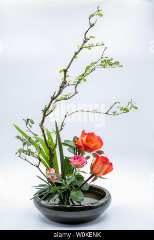 2019.02.16 Aufnahme im Studio. Stockfoto