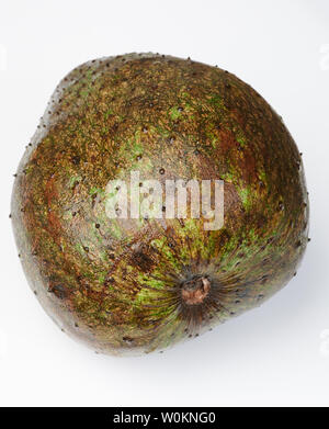 Frisches Obst soursop auf weißem studio Hintergrund isoliert Stockfoto