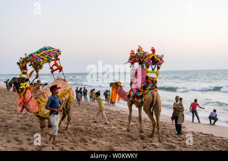 Diu und Daman, Gujarat, Indien - ca. 2019: Kamele mit bunten Girlanden, palanquins und lustige Hüte mit Touristen im Hintergrund genießen den Strand a Stockfoto