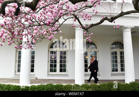Magnolia Blüte Blüte als Präsident Donald Trump (R) geht mit dem israelischen Ministerpräsidenten Benjamin Netanjahu entlang der Kolonnade im Oval Office des Weißen Hauses in Washington, DC am 25. März 2019. Die Staats- und Regierungschefs unterzeichneten ein Abkommen über die Golanhöhen es erkennen als israelisches Gebiet während eines eintägigen Besuch. Foto von Pat Benic/UPI Stockfoto