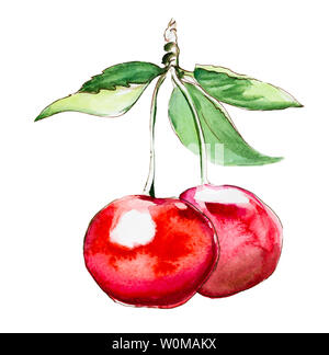 Hand Aquarellmalerei cherry auf weißem Hintergrund Stockfoto