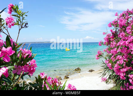 Sommer Hintergrund mit klaren, blauen und türkisfarbenen Meer mit rosa Nerium oleander blühen Bäume und eine aufblasbare Ente auf der Meeresoberfläche gerahmt Stockfoto