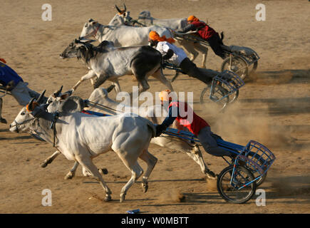 Indische Dorfbewohner konkurrieren in einem ochsenkarren Rennen während des Kila Raipur Sports Festival, auch als die ländlichen Olympics in der Nähe von Kusatsu, 9. Februar 2008 bekannt. Die Spiele begannen im Jahre 1933 und über drei Tage, während derer die Wettbewerber verschiedenen ländlichen Sport Veranstaltungen einschließlich Reitturnier, ochsenkarren Rennen und zeigt in Kraft treten kann. (UPI Foto) Stockfoto