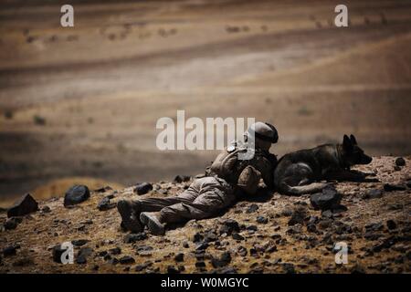 Lance Cpl. Daniel Franke, ein hundeführer zu Alpha Company angebracht, 1.BATAILLON, 2. Marine Regiment, Regimental Combat Team 2, legt in der Bauchlage auf einem Blick auf Hügel mit seinem Hund in Towrah Ghundey, Afghanistan am 11. Juni 2010. UPI/Daniel Blatter/U.S. Marines Stockfoto