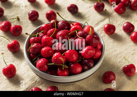 Rohe rote Bio Kirschen bereit zu Essen Stockfoto