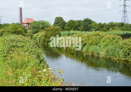 Coppermill Stream im Sommer auf Feuchtgebiete, Walthamstow North London Großbritannien, mit dem Motor Haus Gebäude im Hintergrund Stockfoto