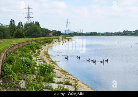 Warwick Reservoir Ost auf Feuchtgebiete, Walthamstow North London UK, mit Canary Wharf in der Ferne Stockfoto