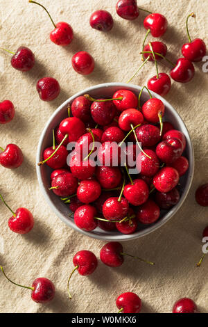 Rohe rote Bio Kirschen bereit zu Essen Stockfoto